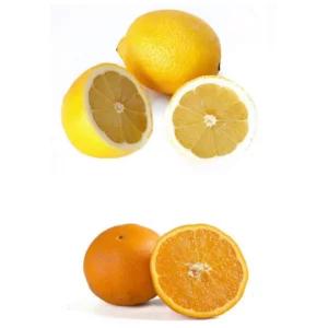 Arance e limoni di Sicilia, Az. Agr. Gagliano, 15kg | Artigiano in Fiera