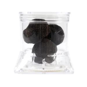 Tartufo nero Uncinatum (Tuber uncinatum), 40g con contenitore specifico Tuber Pack | Artigiano in Fiera