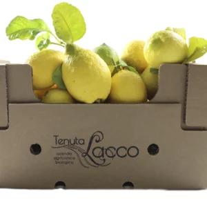 Limoni zagara bianca biologici, cassetta da 10kg | Artigiano in Fiera