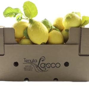 Limoni zagara bianca biologici, cassetta da 20kg | Artigiano in Fiera
