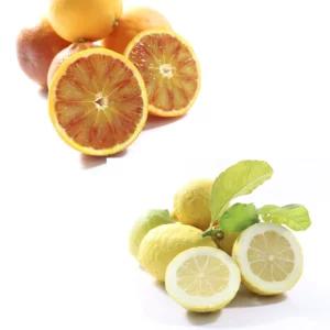 Arance e limoni biologici, cassetta da 20kg | Artigiano in Fiera