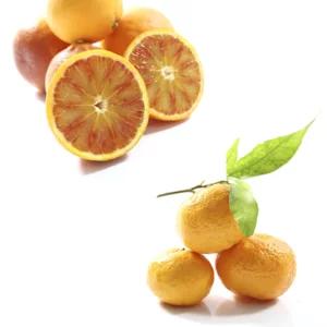 Arance e mandarini biologici, cassetta da 20kg | Artigiano in Fiera